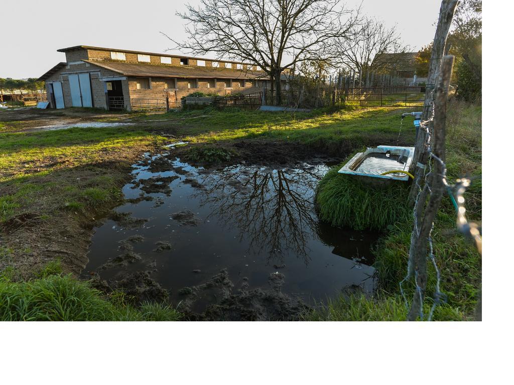 La Mola Di Campagnano Villa Campagnano Di Roma Bagian luar foto